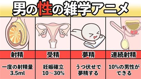 夢精とは|夢精 (むせい)」の意味や使い方 わかりやすく解説 Weblio辞書